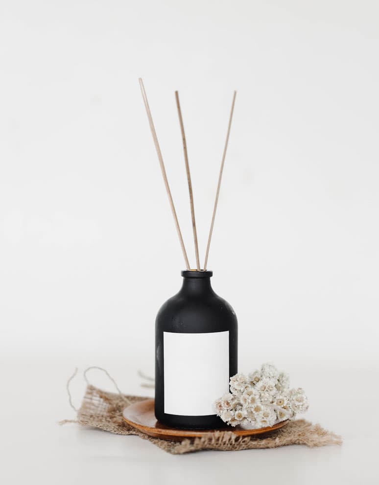 Perfume 101: Understanding Notes — Top, Middle, and Base